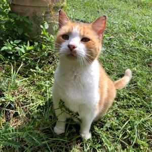 Meet your Posher, Skyanne